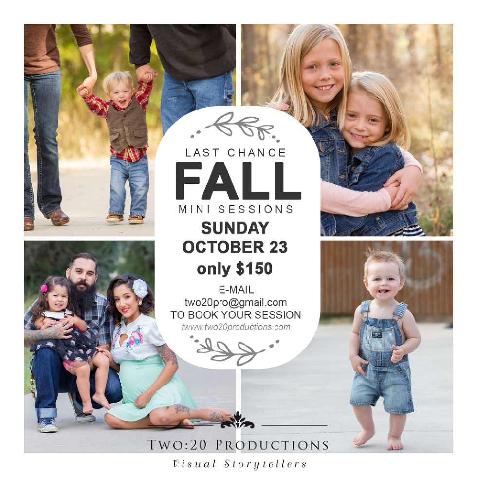 TWO20-2016-fallminisessions